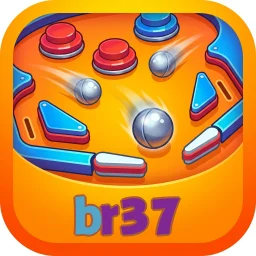 br37